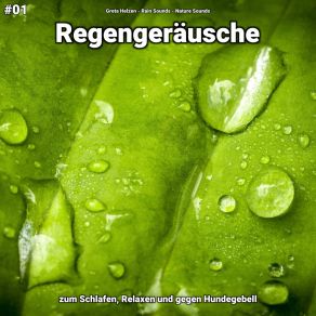 Download track Regengeräusche, Pt. 84 Nature Sounds