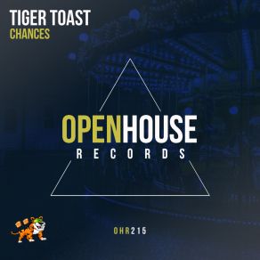 Download track Chances (Instrumental Edit) Tiger Toast