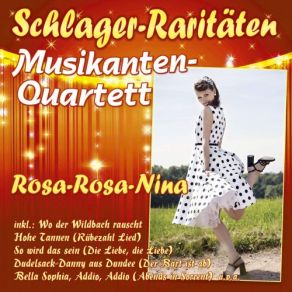 Download track Wo Der Wildbach Rauscht Musikanten-Quartett