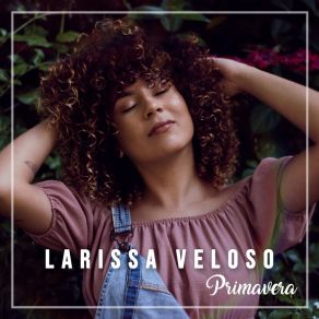 Download track Pássaro Larissa Veloso