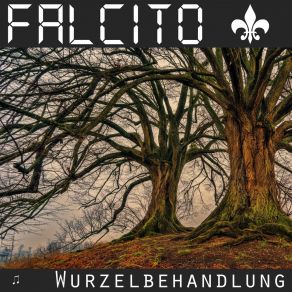 Download track Stadt Im Nebel Falcito