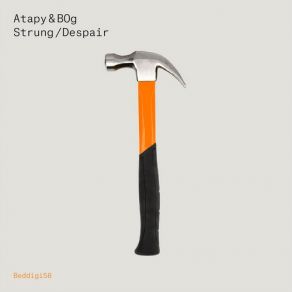 Download track Despair (Original Mix) Atapy, Bog