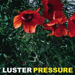 Download track WEIGHT OF YOUR WORDS Luster