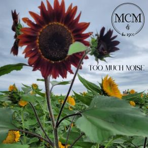 Download track Do It For Me 1900, Meghan Cristeen Martin