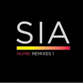 Download track Numb (Paradise Soul Remix Part 1) Sia