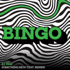 Download track Something New (Radio Edit) Dj Zinc, Reigns