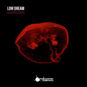 Download track Shine (Acoustic) Low Dream