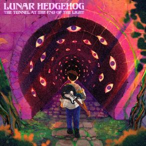 Download track Ride The Wave Lunar Hedgehog