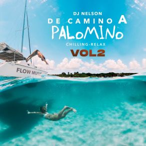 Download track 5 Noches DJ NelsonIssa, Alejandro Armes