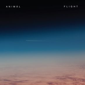 Download track AudioAudio Animal