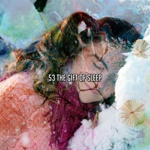 Download track The Night Wish Spa