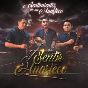 Download track Corazón Huasteco Trío Sentir Huasteco