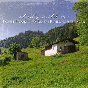 Download track Forest Floor Cabin Leaves Rumbling Ambience, Pt. 10 Sebastian Riegl