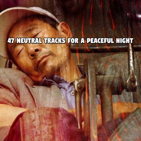 Download track The Peaceful Night Best Relaxing SPA Music