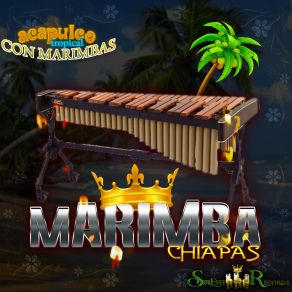 Download track Lagrimas De Escarcha Marimba De ChiapasMarimba