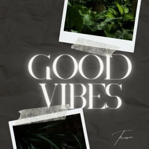 Download track Good Vibes Freesia