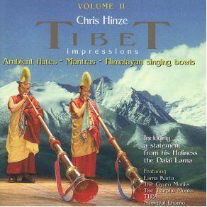 Download track Desert Jungle Of Tibet Chris Hinze