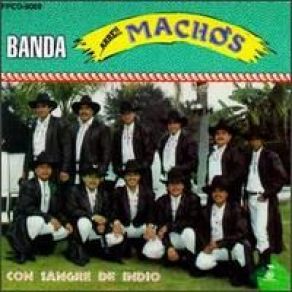 Download track 40 Cartas Banda Machos