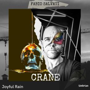 Download track Joyful Rain Fabio Salvati