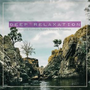 Download track Tranquil Slumber Water Stream Ambience, Pt. 9 Craig Hewitt