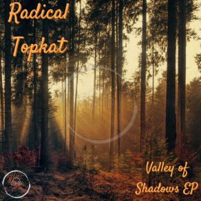 Download track Twisted (Original Mix) Radical Topkat