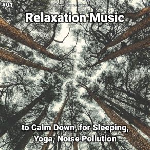 Download track Relaxation Music, Pt. 58 Yoga