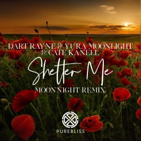 Download track Shelter Me (Moonnight Remix) Dart Rayne, Yura Moonlight, Cate Kanell