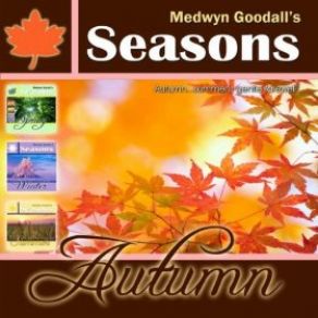 Download track A Gentle Rain Medwyn Goodall