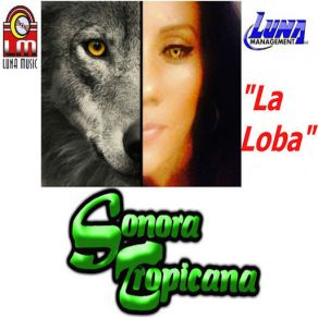 Download track La Loba Sonora Tropicana