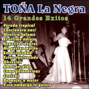 Download track Y Sin Embargo Te Quiero Toña La Negra