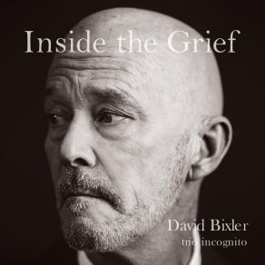 Download track Like Shosti David Bixler Trio Incognito