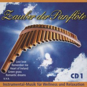 Download track Remember Me Magic Panflute Group