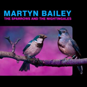 Download track The Sparrows And The Nightingales Martyn Bailey