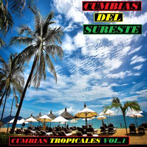 Download track Cumbia De Moda - Kike Y Su Nueva Naranja Cumbias Del Sureste