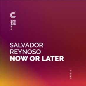 Download track Now Or Later Salvador Reynoso