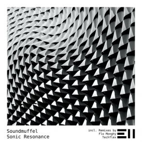 Download track Sonic Resonance (Flo Monghy Remix) SoundmuffelFlo Monghy