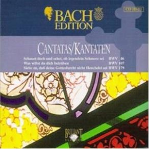 Download track Schauet Doch Und Sehet, Ob Irgendein Schmerz Sei BWV 46 - IV Recitativo (Alto) Johann Sebastian Bach