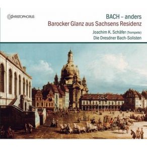 Download track 7. Concerto In G Minor Vivaldi BWV 975 - I. Largo Johann Sebastian Bach