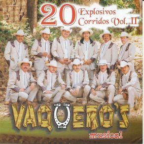 Download track El Profugo De Tijuana Vaquero's Musical