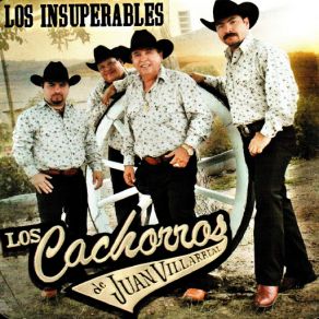 Download track Quiero Que Vuelvas Los Cachorros De Juan Villarreal