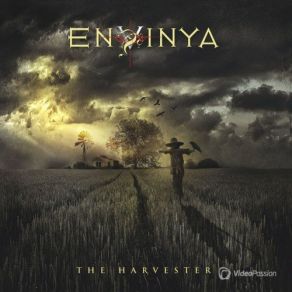 Download track Outsider Envinya