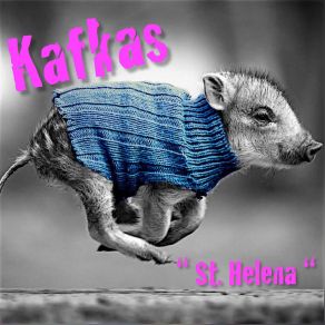 Download track Schöne Grüße Kafkas