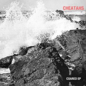 Download track Froshed Cheatahs