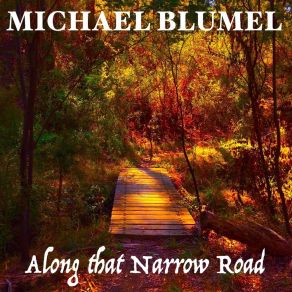 Download track The Narrow Road Michael Blümel