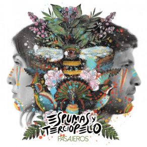 Download track Las Abejas Espumas, Terciopelo