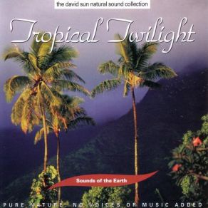 Download track Tropical Twilight David Sun