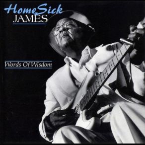 Download track My Little Woman Homesick James