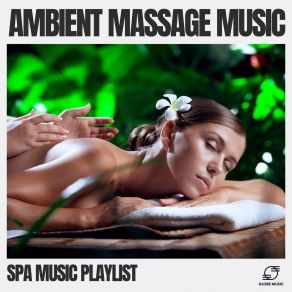 Download track Spa Treatment Spa Music Playlist