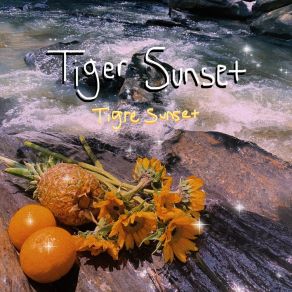 Download track Now I'm Nothing Sunset Tiger