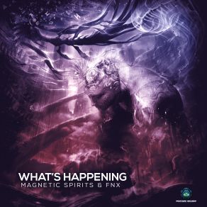 Download track Whats Happening Fnx, Magnetic Spirits